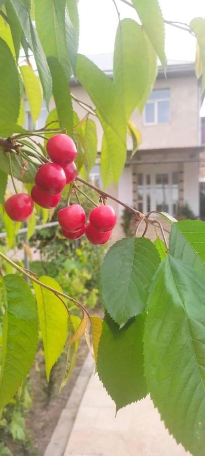 Abs Guest House Osh Ngoại thất bức ảnh